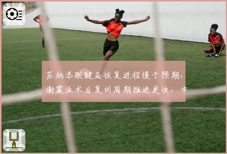 苏炳添跟腱炎恢复进程慢于预期,谢震业术后复训周期推进更快,中国短跑双雄归期分化明显