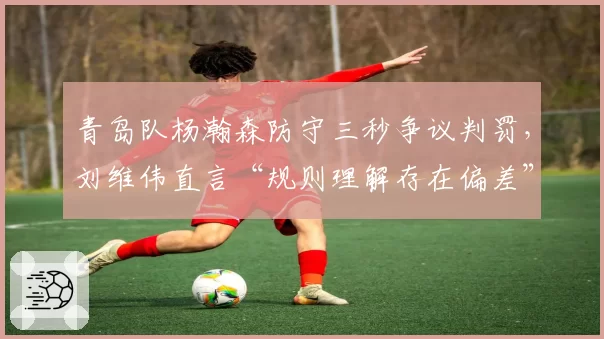 青岛队杨瀚森防守三秒争议判罚,刘维伟直言“规则理解存在偏差”