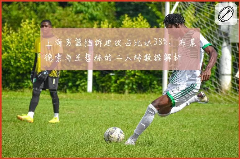 上海男篮挡拆进攻占比达38%，布莱德索与王哲林的二人转数据解析