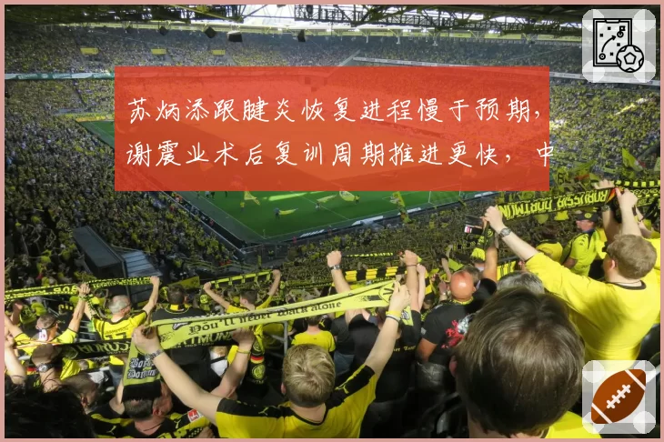苏炳添跟腱炎恢复进程慢于预期,谢震业术后复训周期推进更快,中国短跑双雄归期分化明显